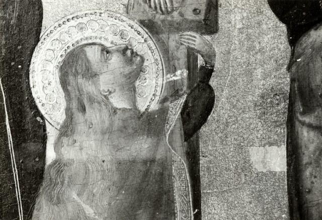 Anonimo — Maestro delle Immagini domenicane - sec. XIV - Santa Maria Maddalena ai piedi della croce — particolare